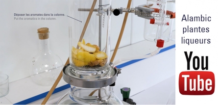 New demonstration video: still for plants and liqueurs New demonstration video: still for plants and liqueurs